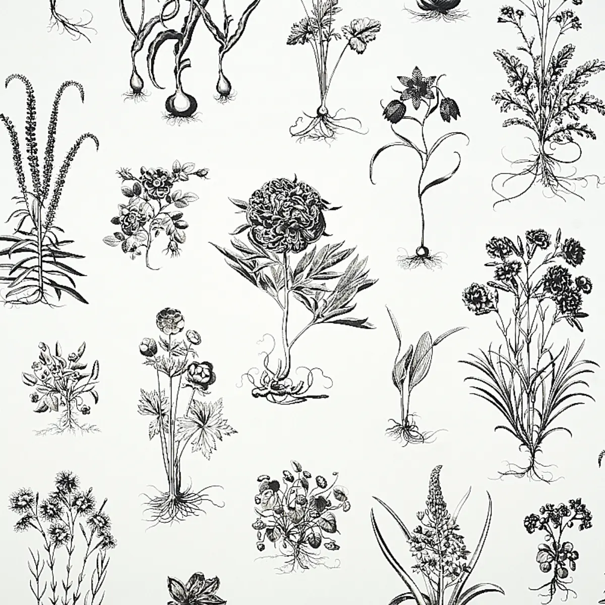 CABOT BOTANICAL LARGE_ IVORY