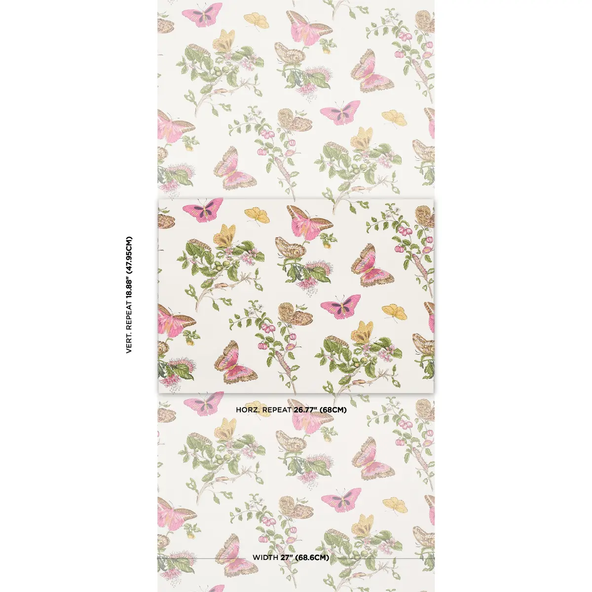 BAUDIN BUTTERFLY_ BLUSH