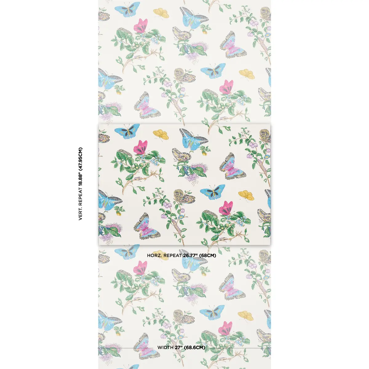 BAUDIN BUTTERFLY_ TURQUOISE