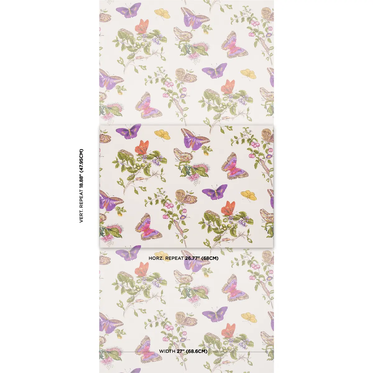 BAUDIN BUTTERFLY_ PURPLE