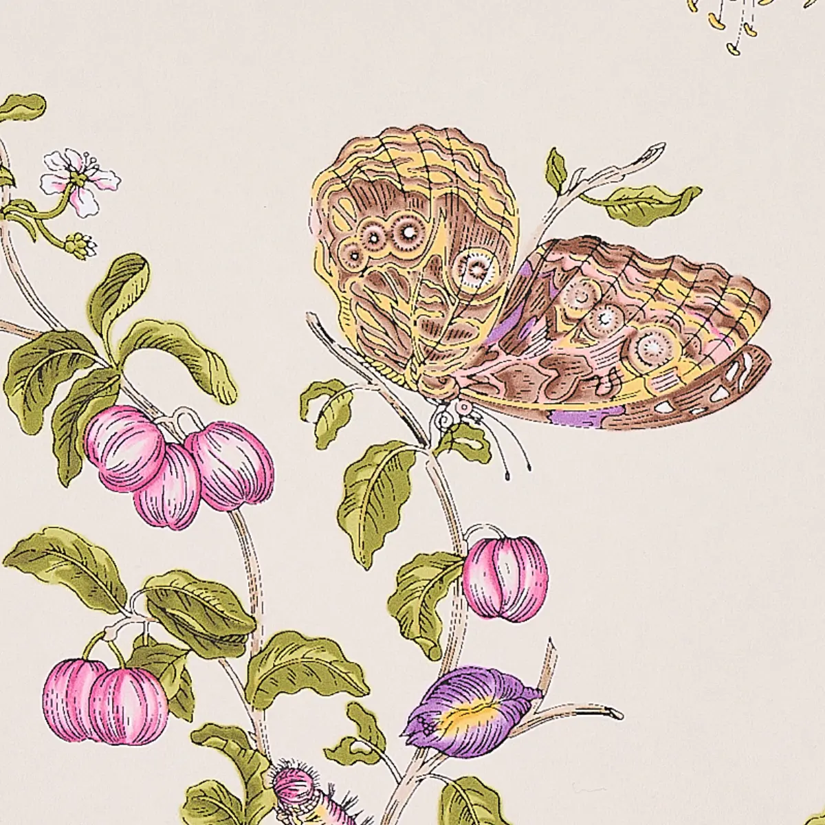 BAUDIN BUTTERFLY_ PURPLE