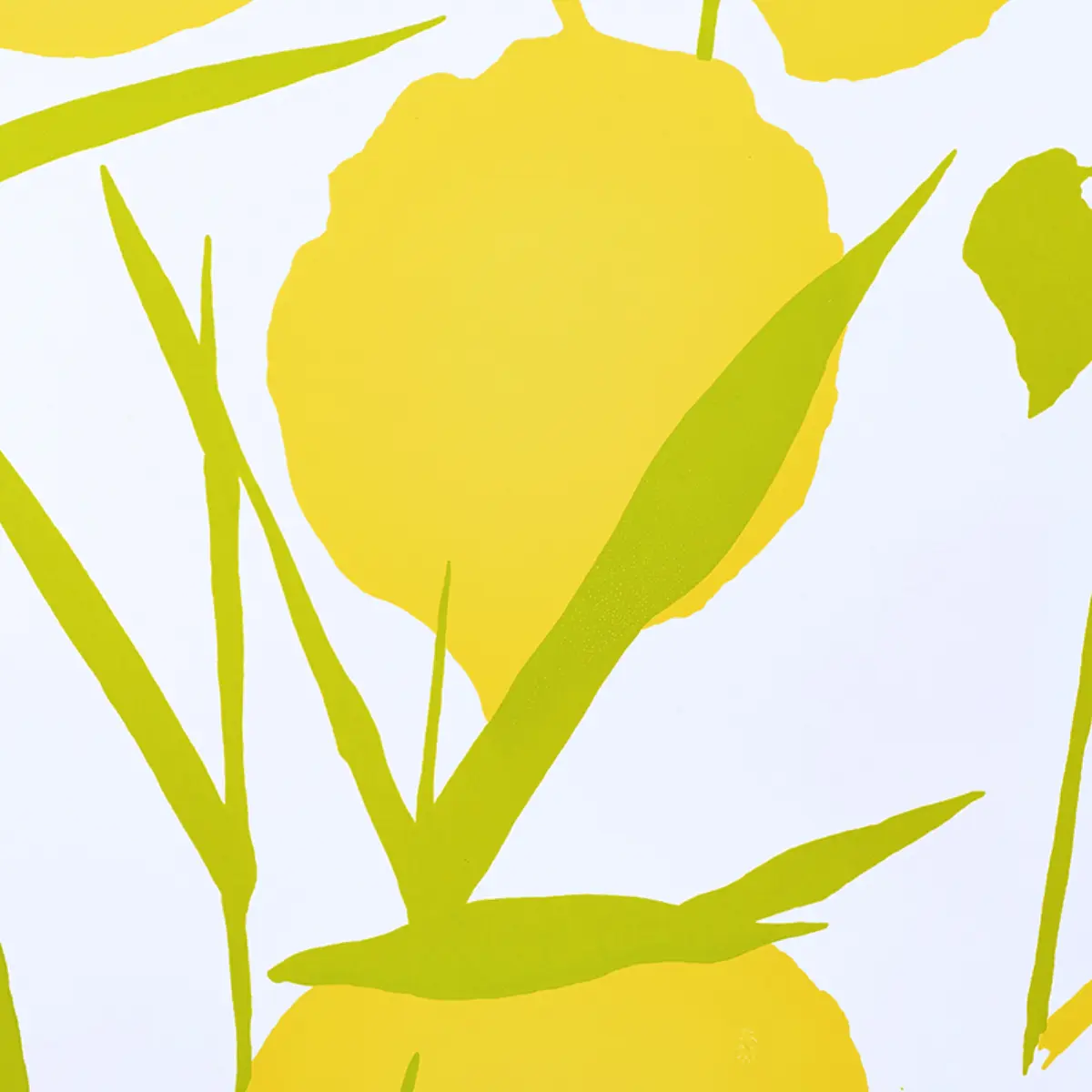 JOAN_ YELLOW