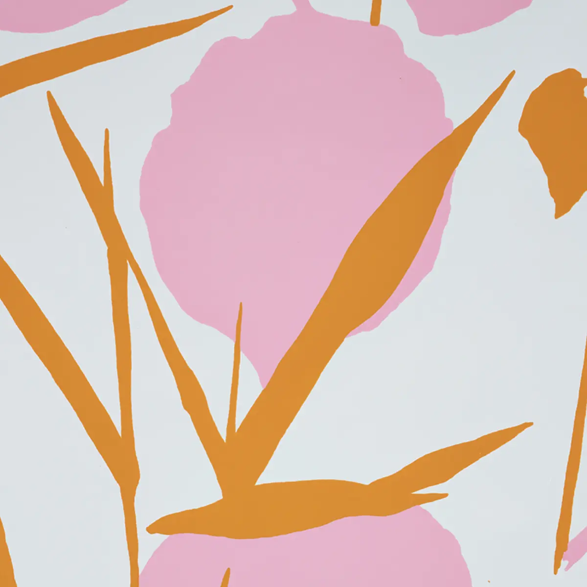 JOAN_ PINK
