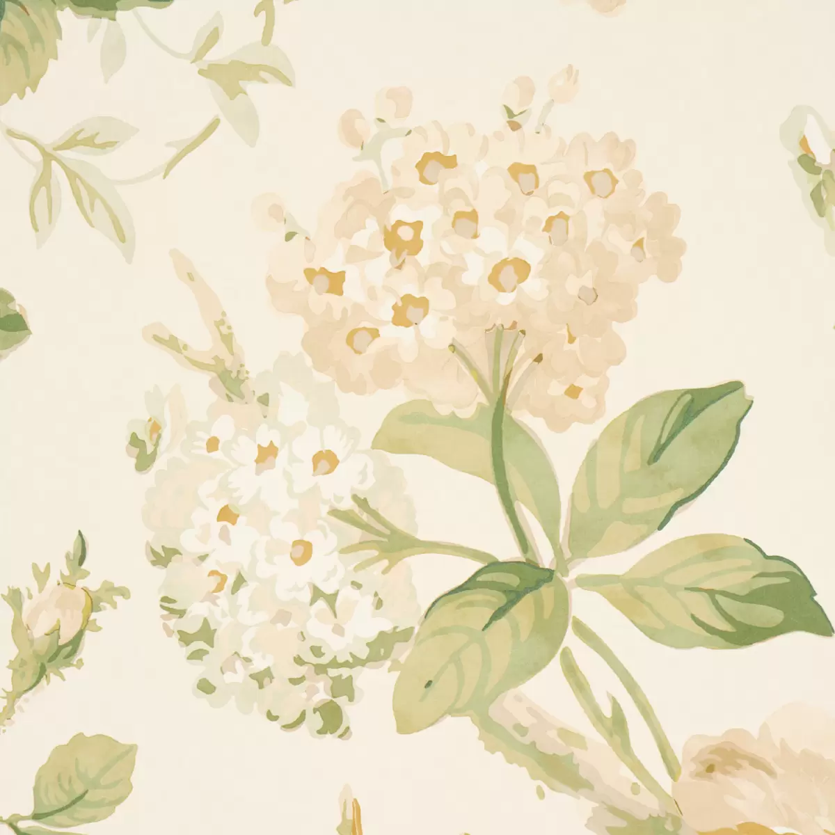 Nancy Floral_ IVORY