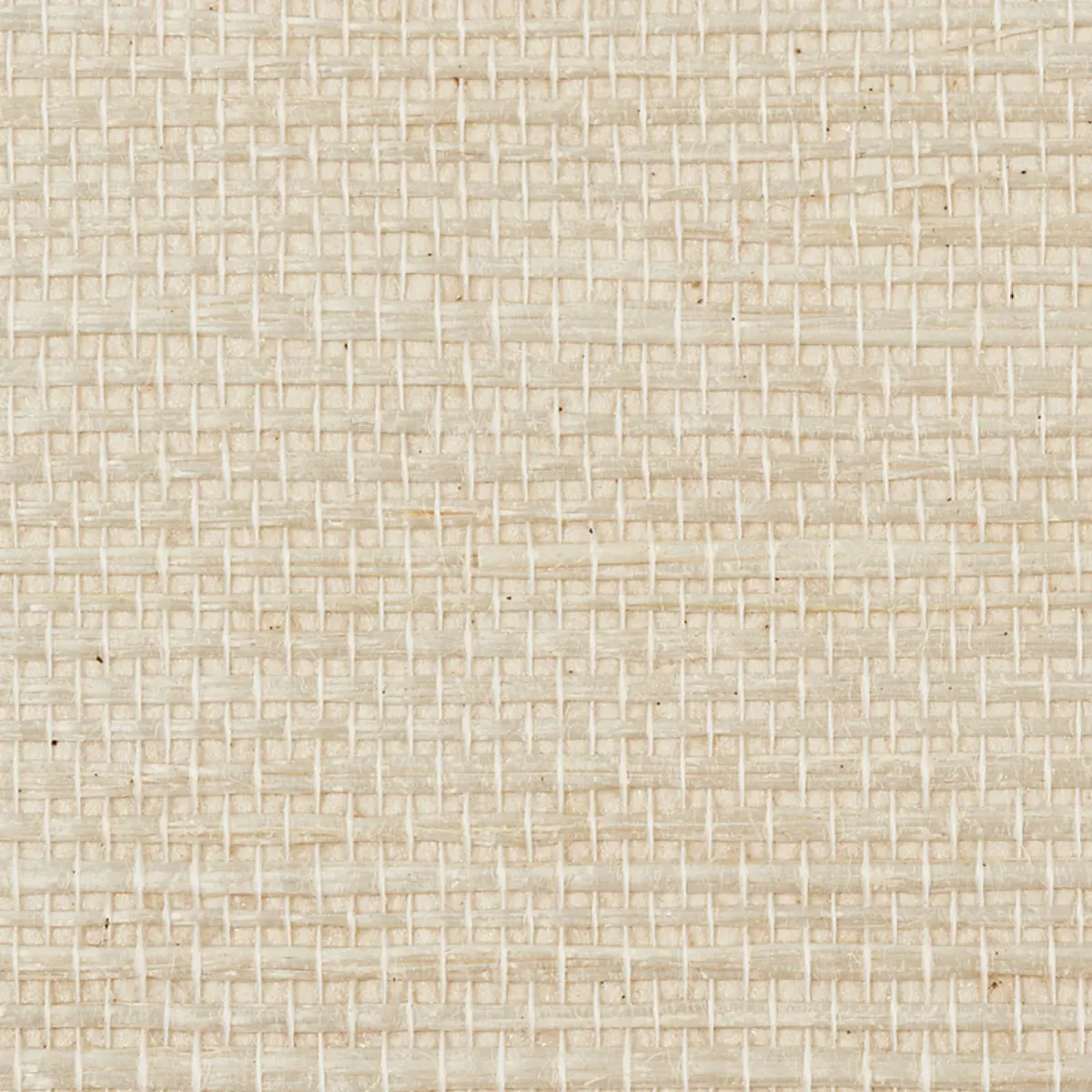 HARUKI SISAL_ SAND