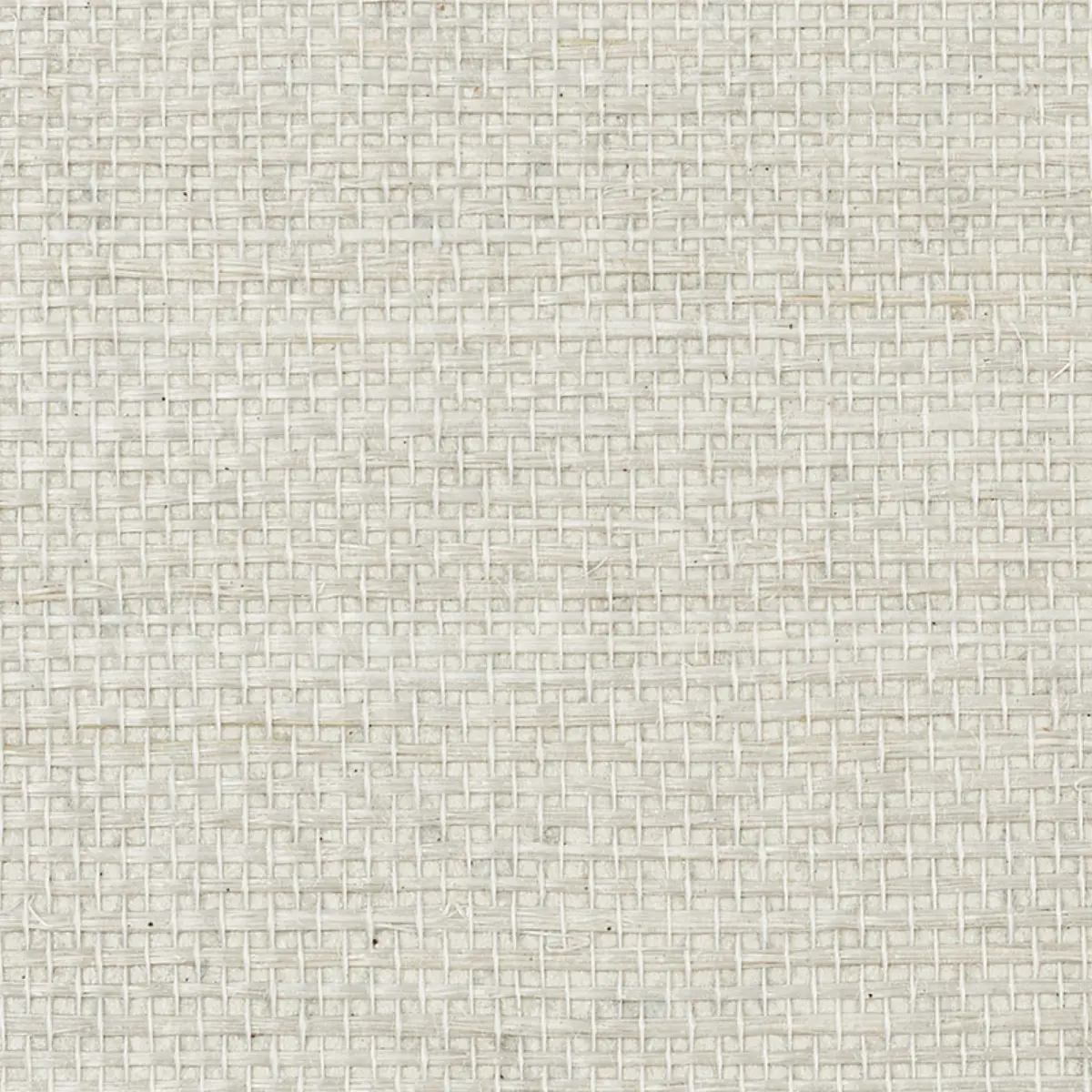 HARUKI SISAL_ DOVE