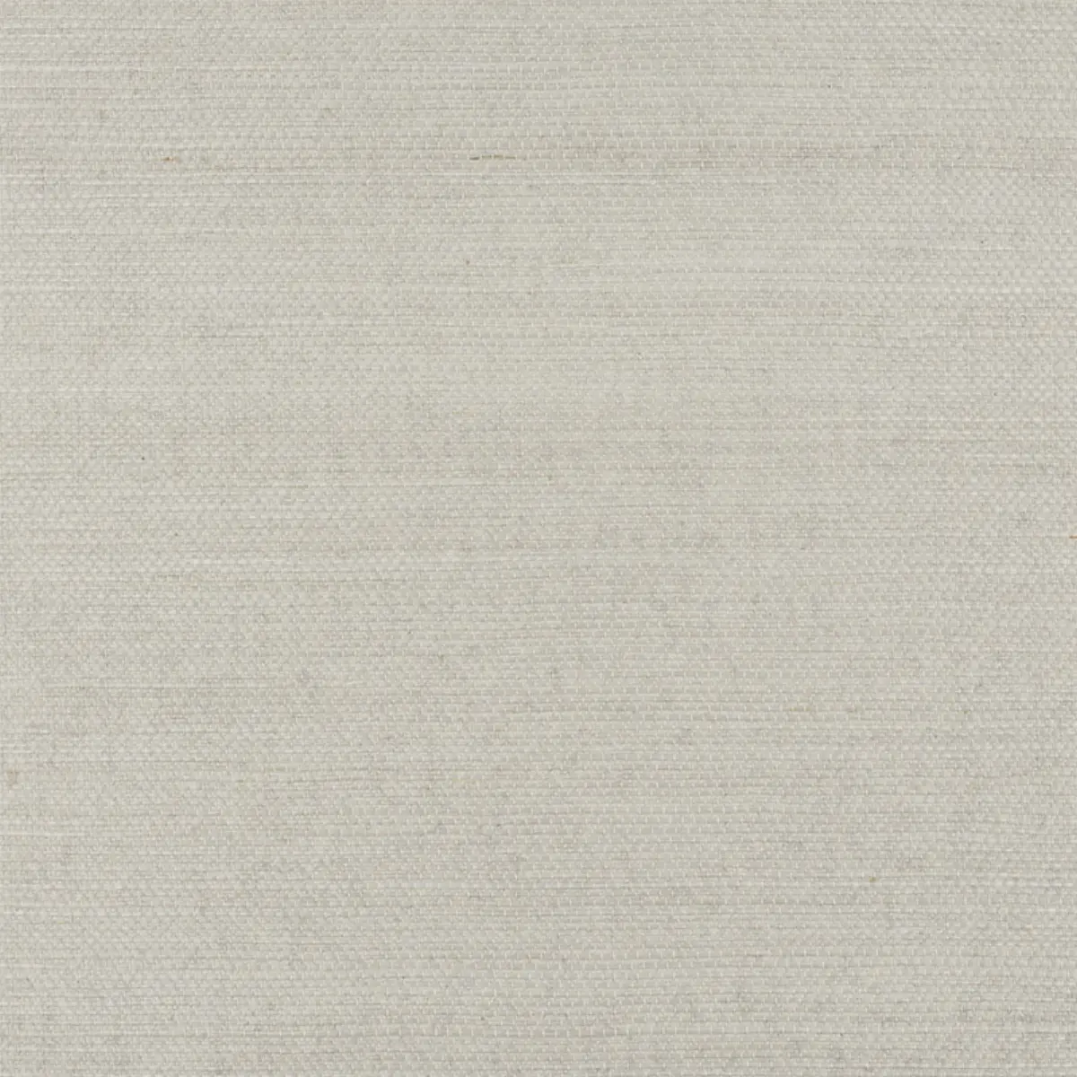 HARUKI SISAL_ DOVE