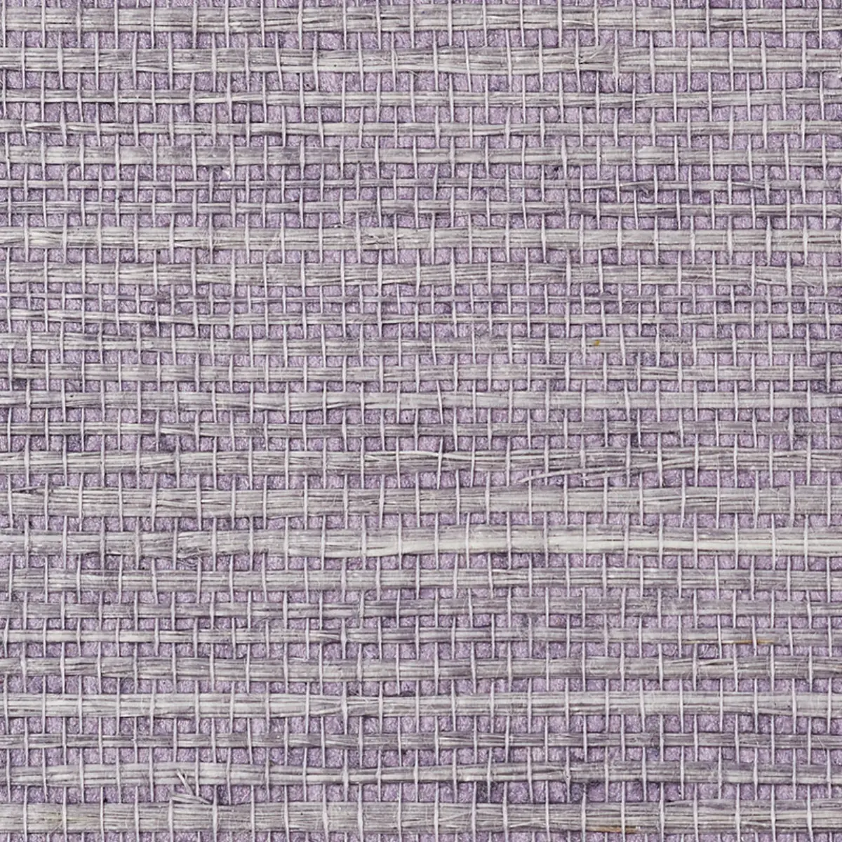 HARUKI SISAL_ THISTLE