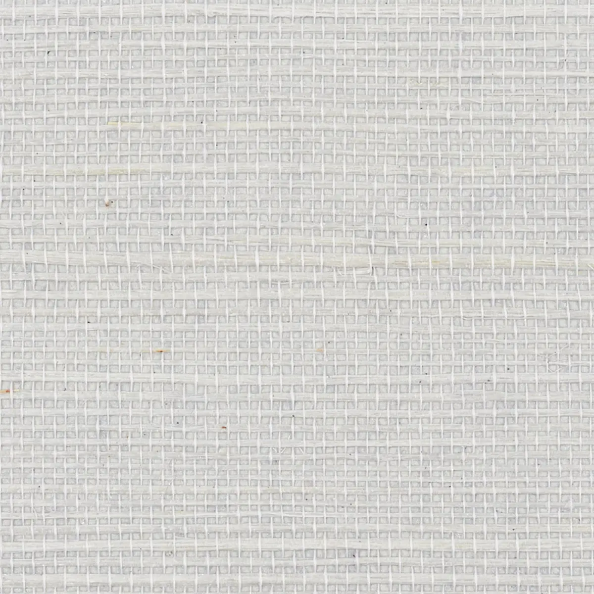 HARUKI SISAL_ CLOUD
