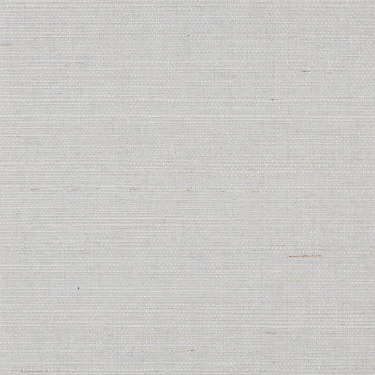 HARUKI SISAL_ CLOUD