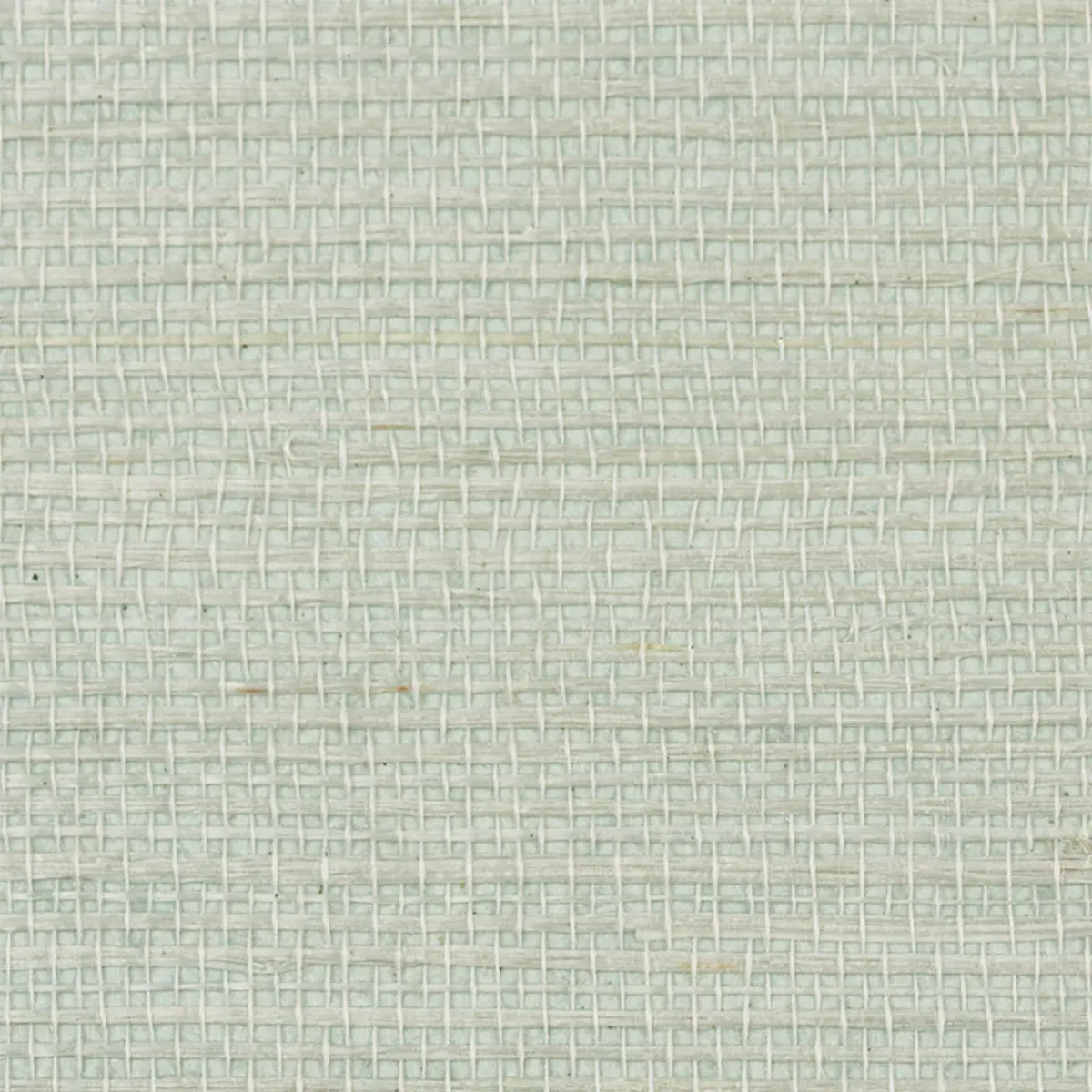 HARUKI SISAL_ ALOE