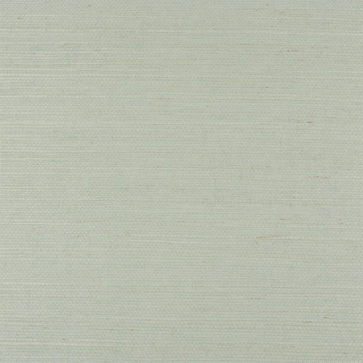 HARUKI SISAL_ ALOE