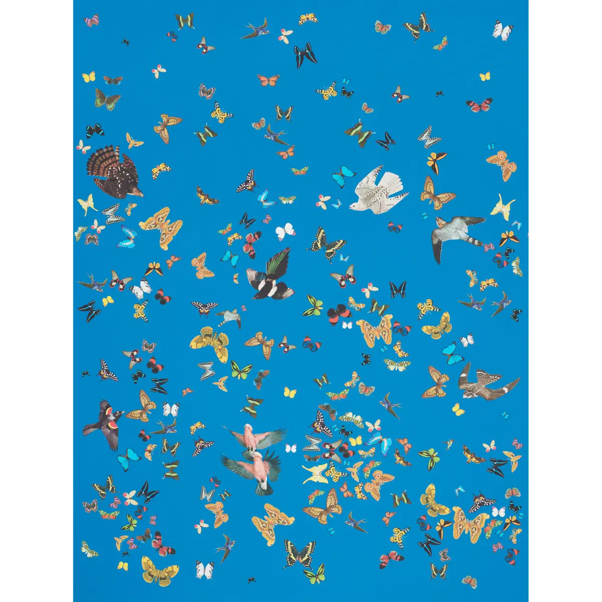 QUEEN'S FLIGHT PANEL SET_ ROYAL BLUE