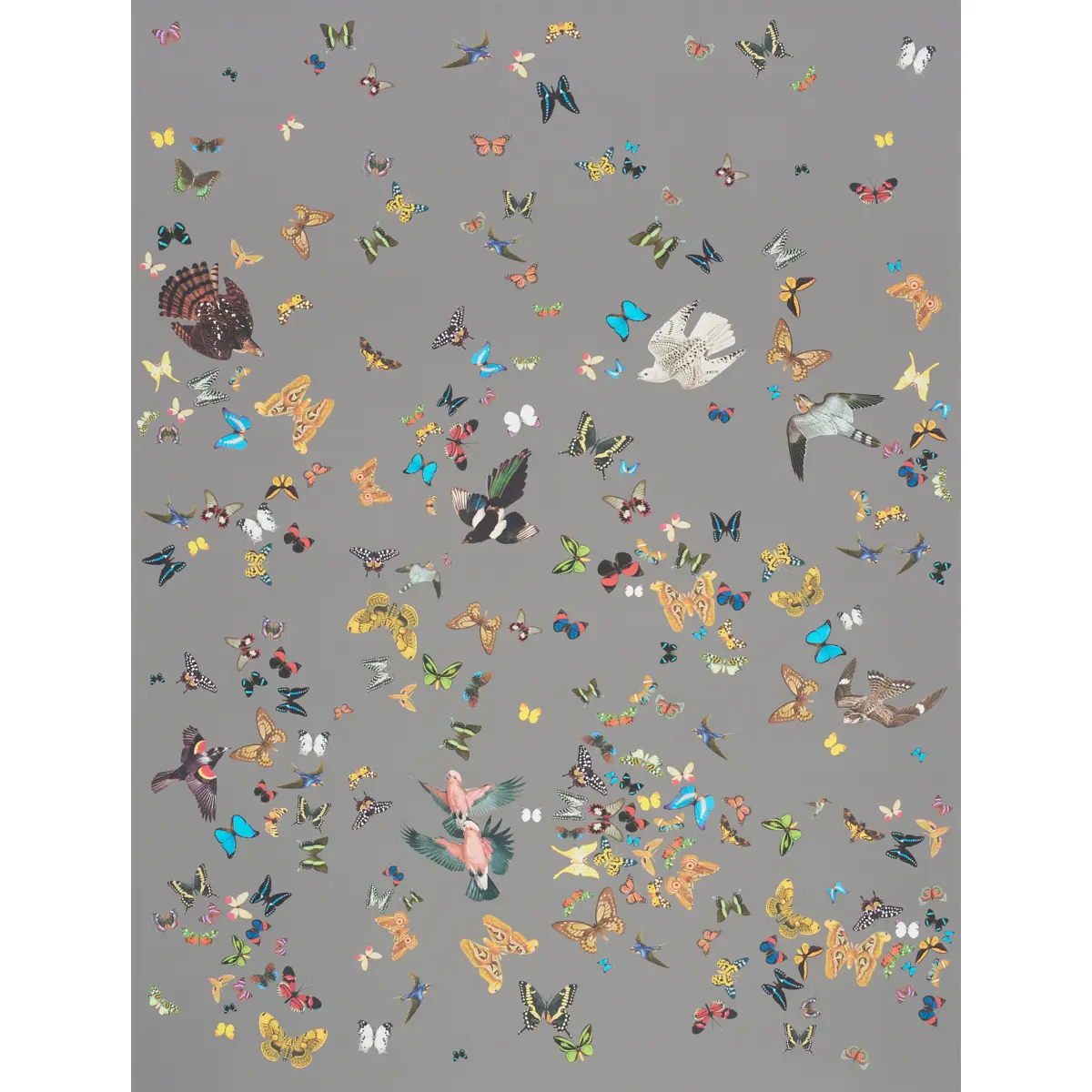 QUEEN'S FLIGHT PANEL SET_ GREY