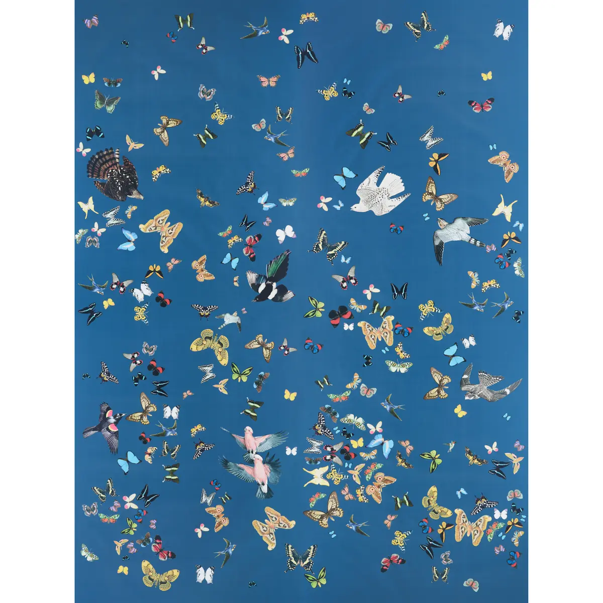 QUEEN'S FLIGHT PANEL SET_ NAVY