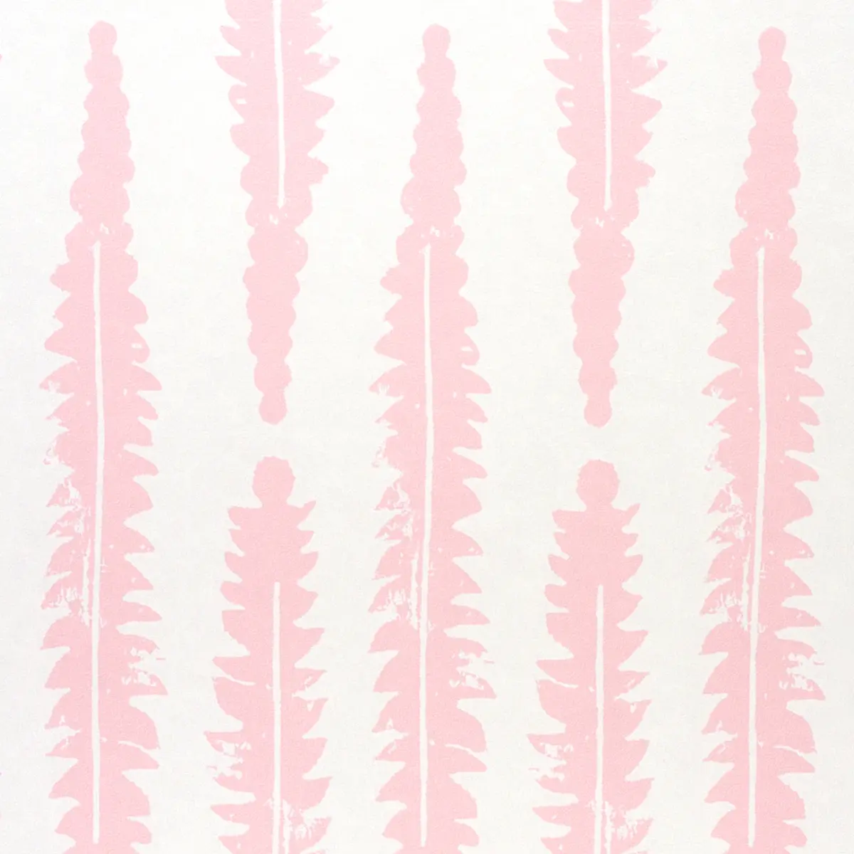 Fern_ PINK