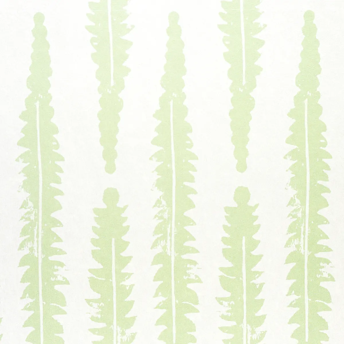 Fern_ SAGE