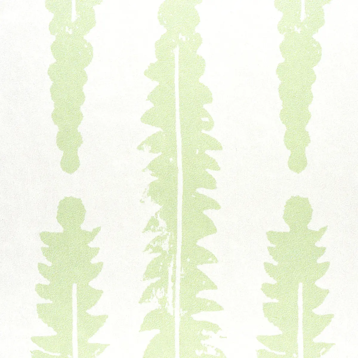 Fern_ SAGE