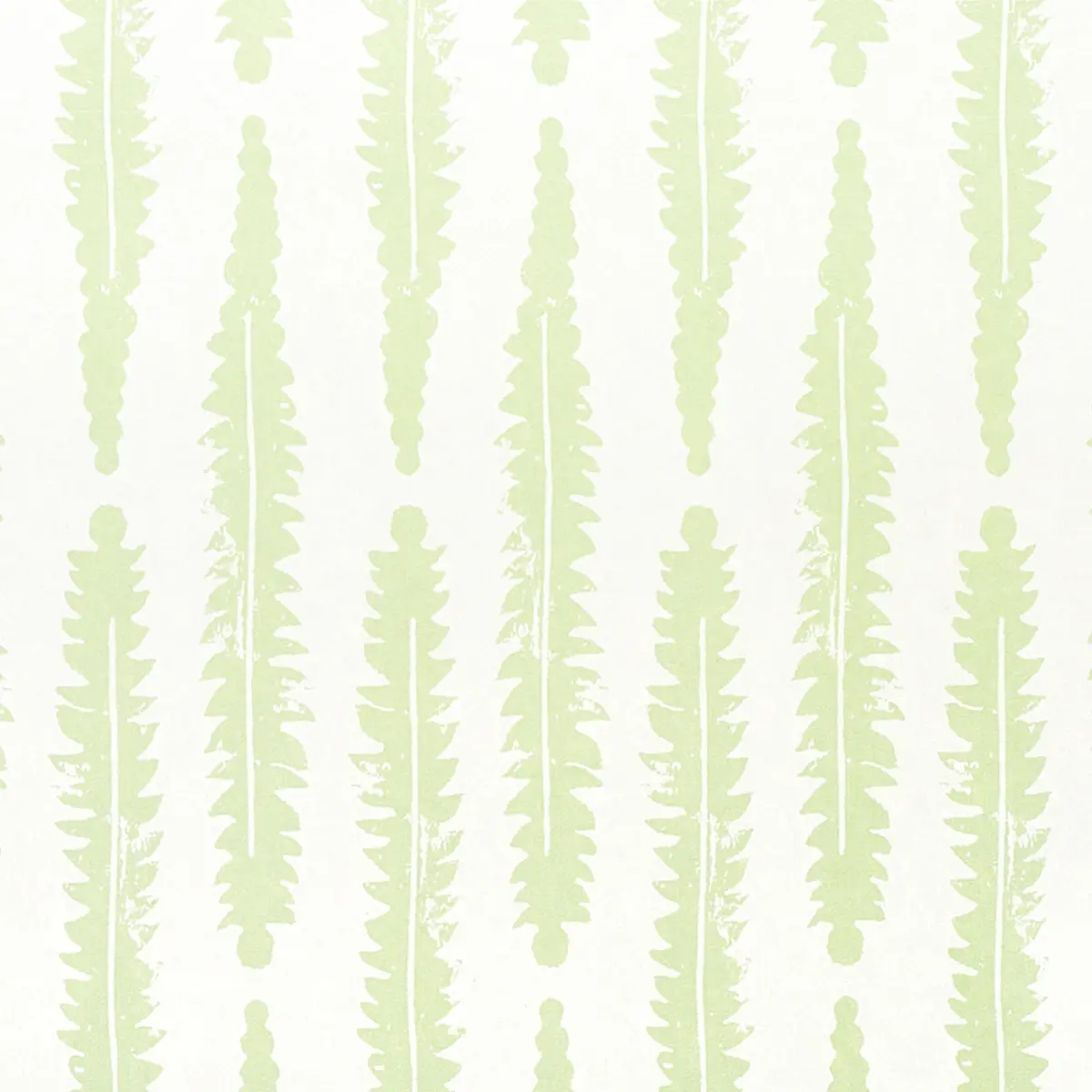 Fern_ SAGE