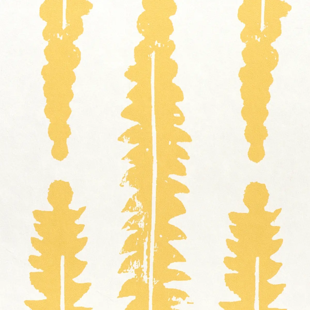 Fern_ MUSTARD
