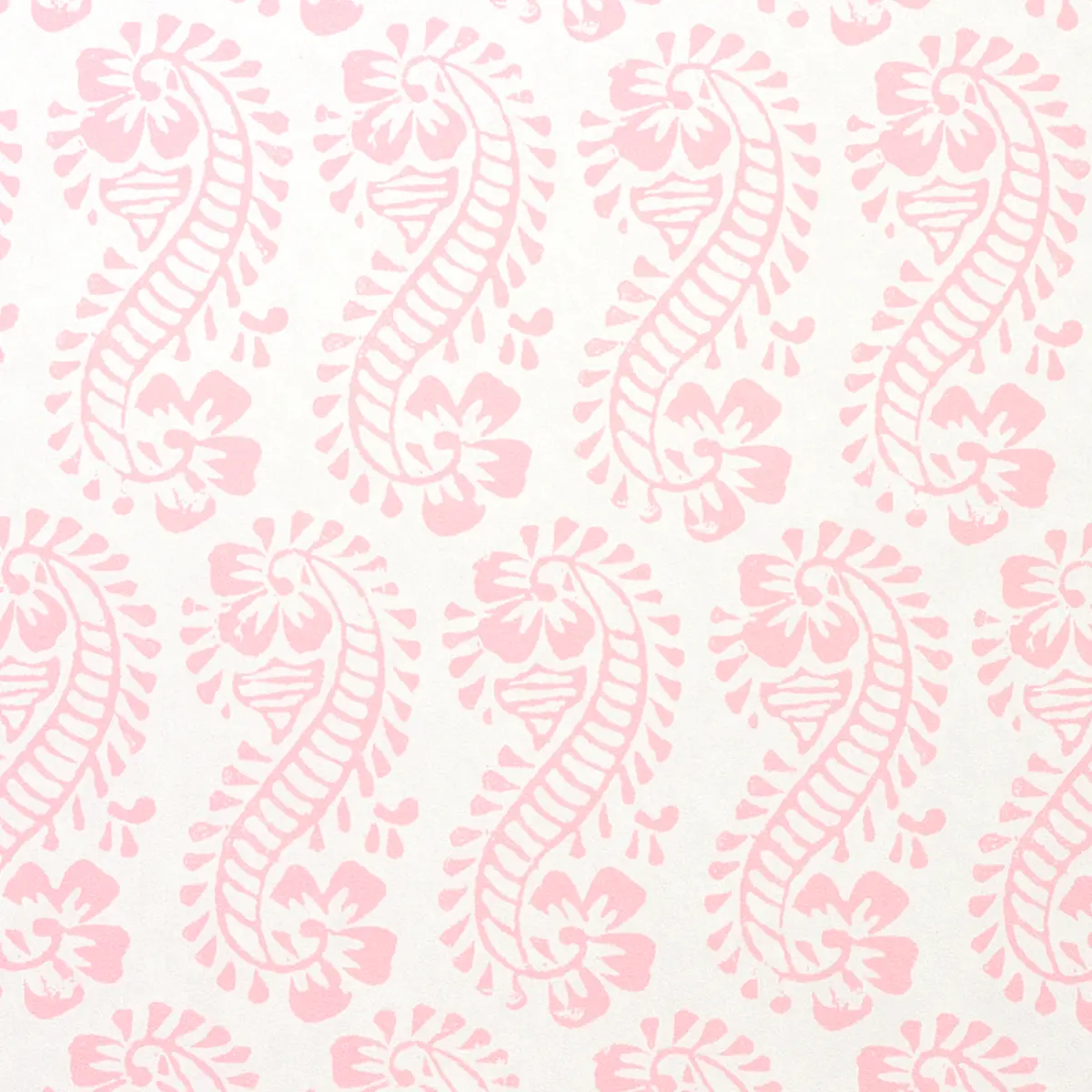 Lani_ PINK