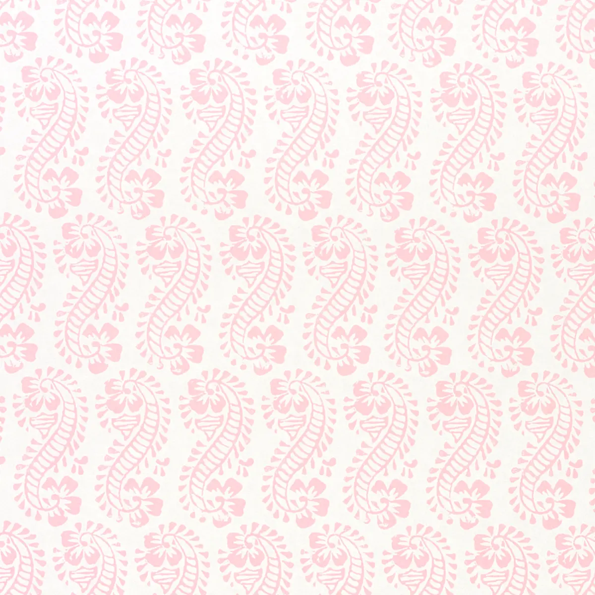 Lani_ PINK