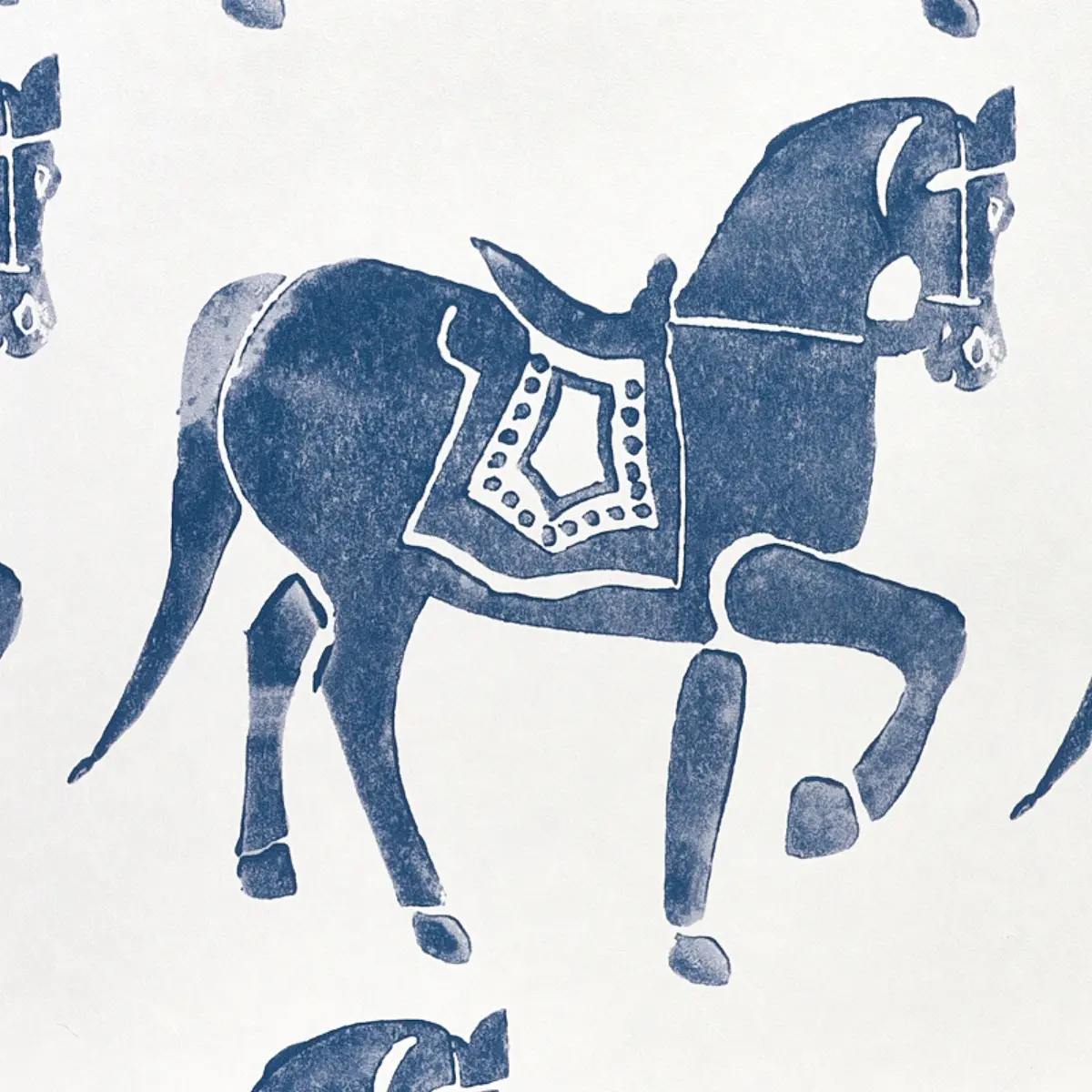 Marwari Horse_ NAVY