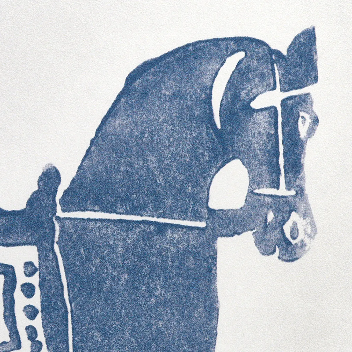 Marwari Horse_ NAVY