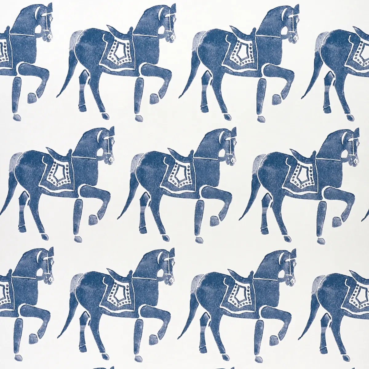 Marwari Horse_ NAVY