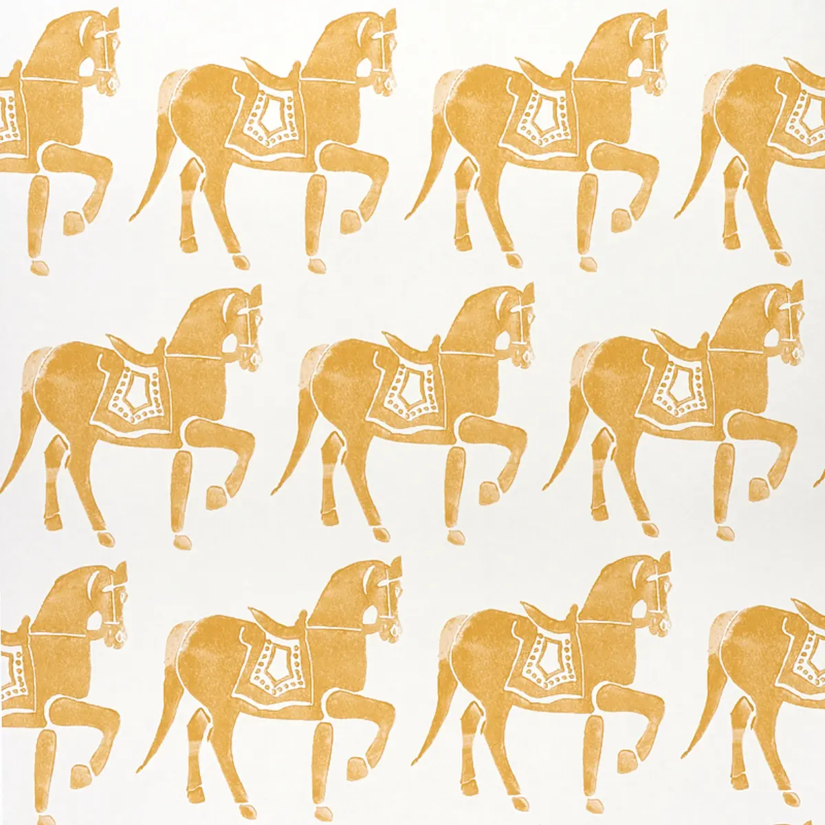 Marwari Horse_ MUSTARD