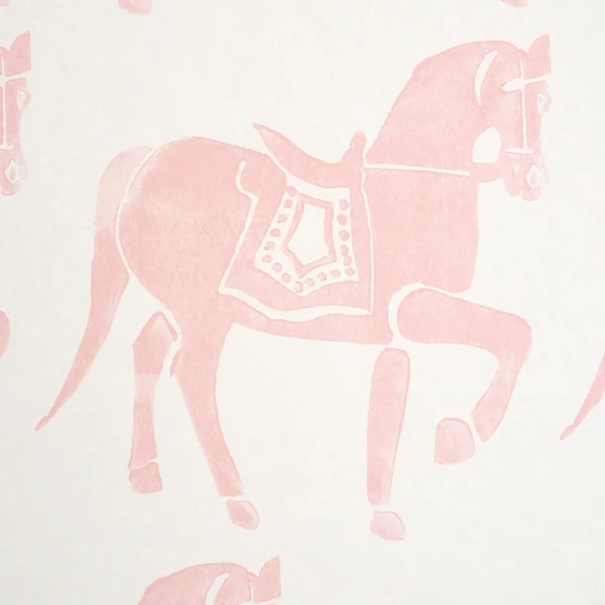 Marwari Horse_ PINK