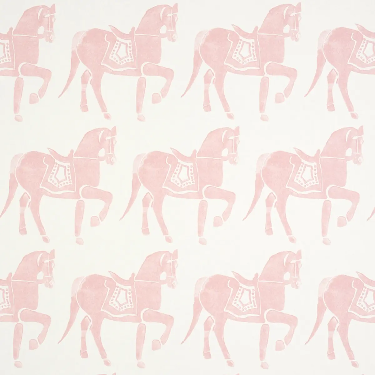 Marwari Horse_ PINK