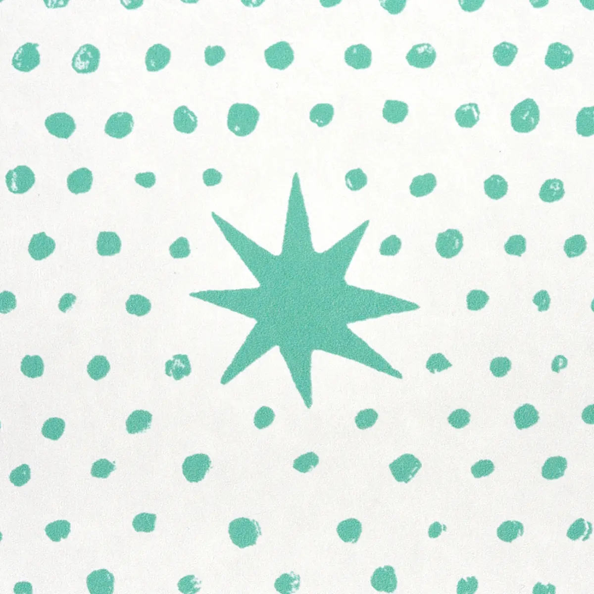 Spot & Star_ SEAGLASS