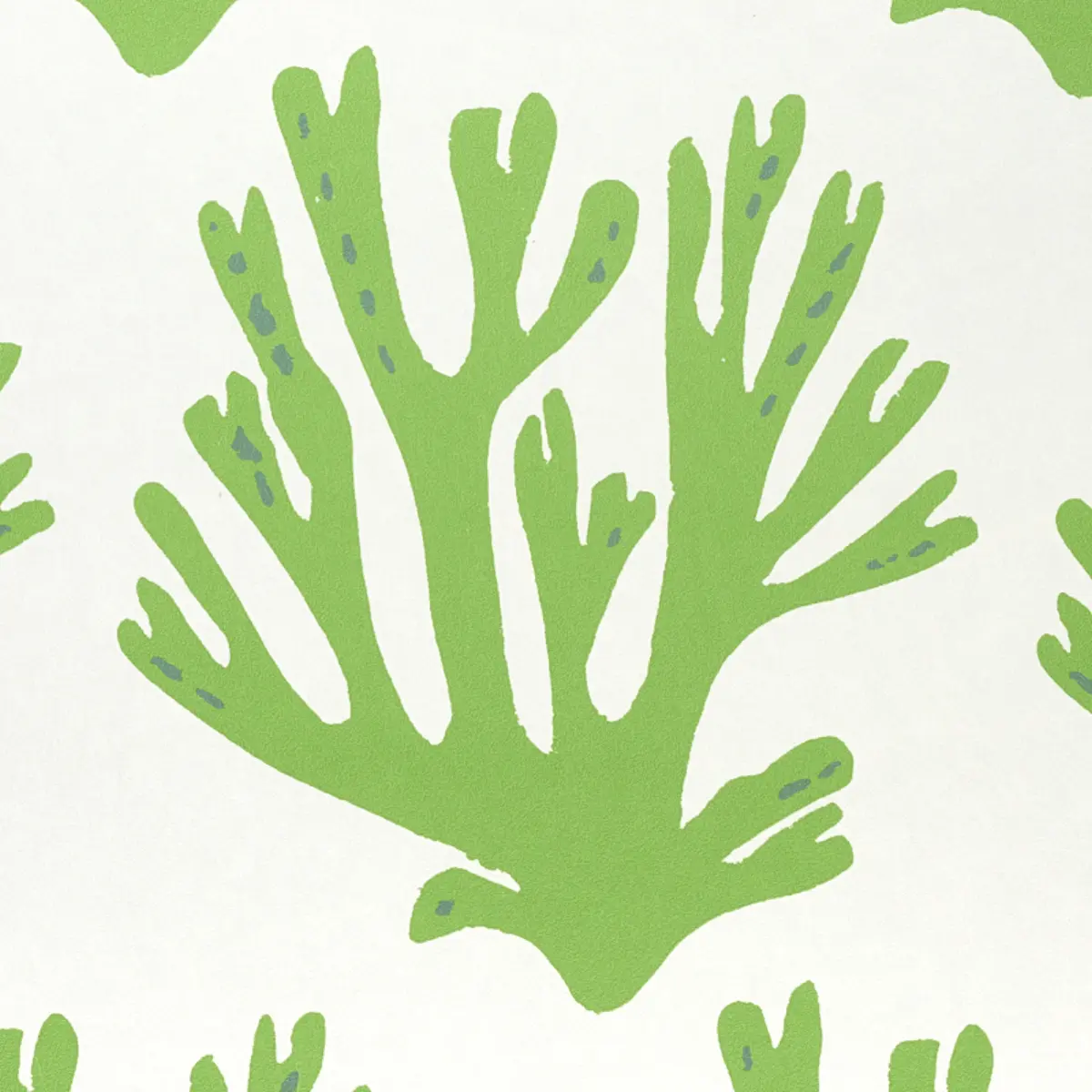 Coral_ GREEN