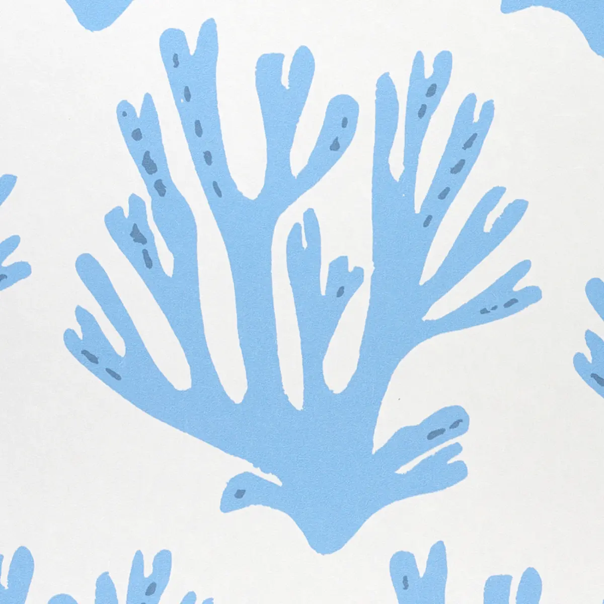 Coral_ BLUE
