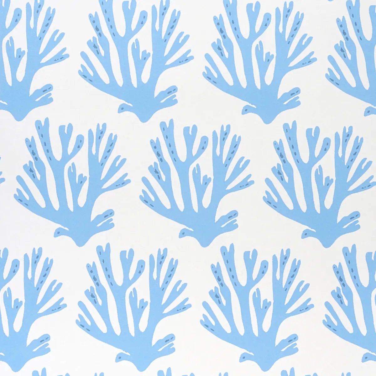 Coral_ BLUE