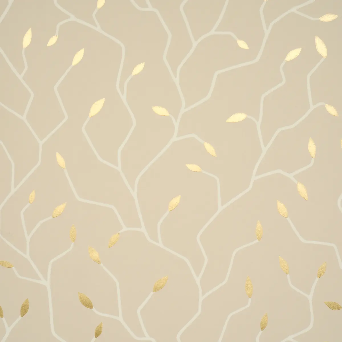 Cymbeline_ ALABASTER