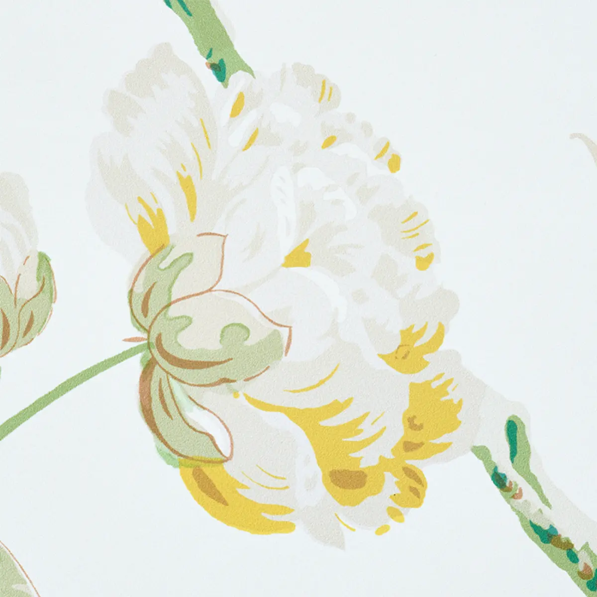 Daydream_ CITRON