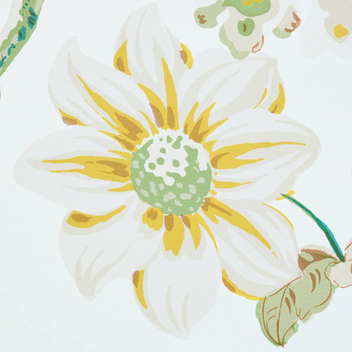 Daydream_ CITRON