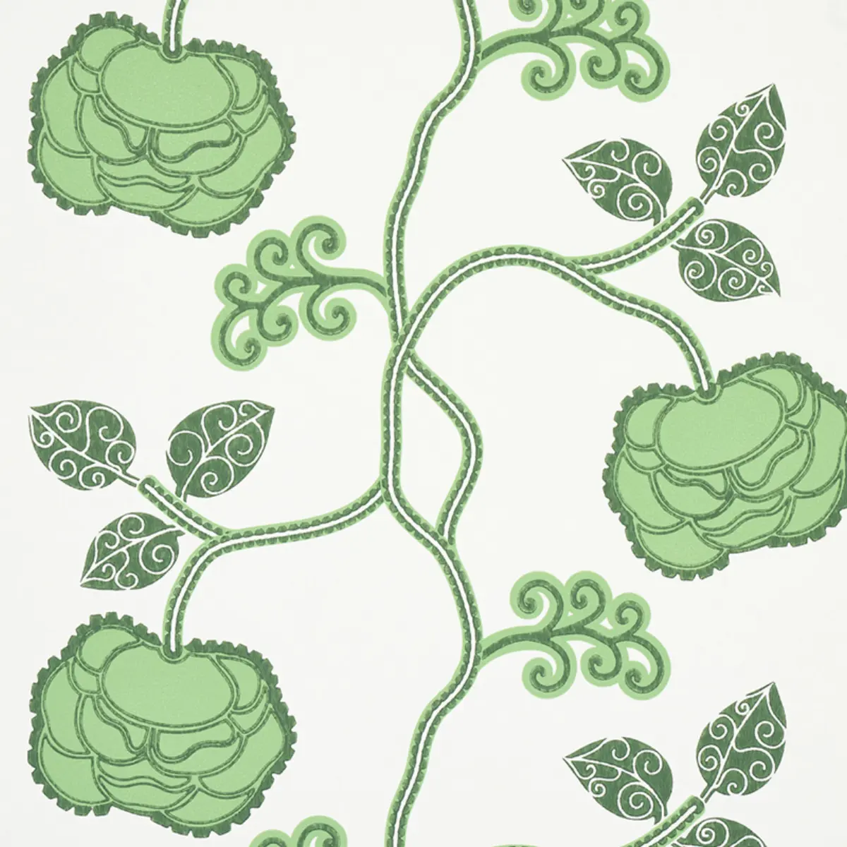 QUEEN FRUIT_ JADE