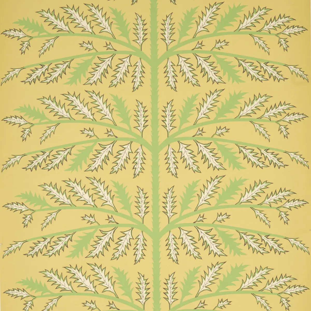 Thistle_ MUSTARD