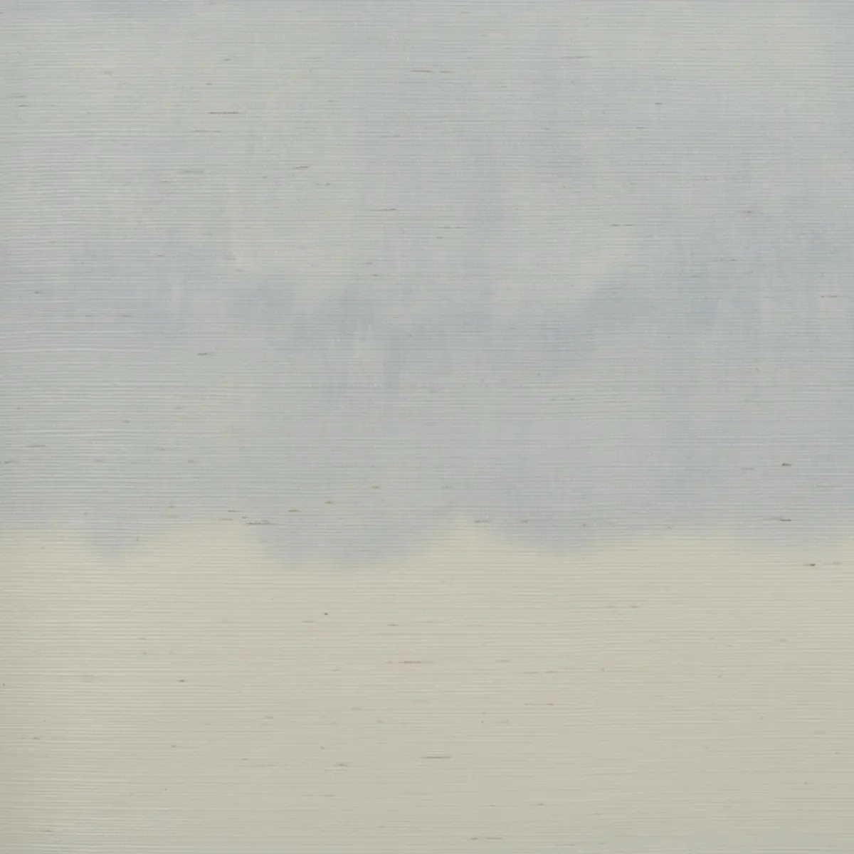 ORISSA SISAL PANEL_ SKY