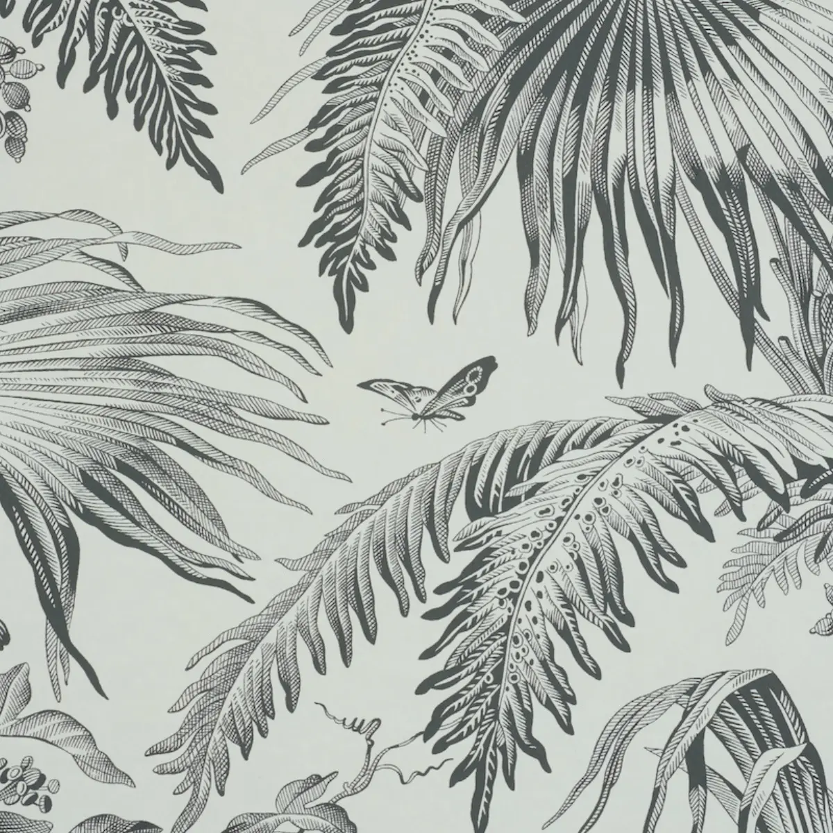TOILE TROPIQUE_ BLACK