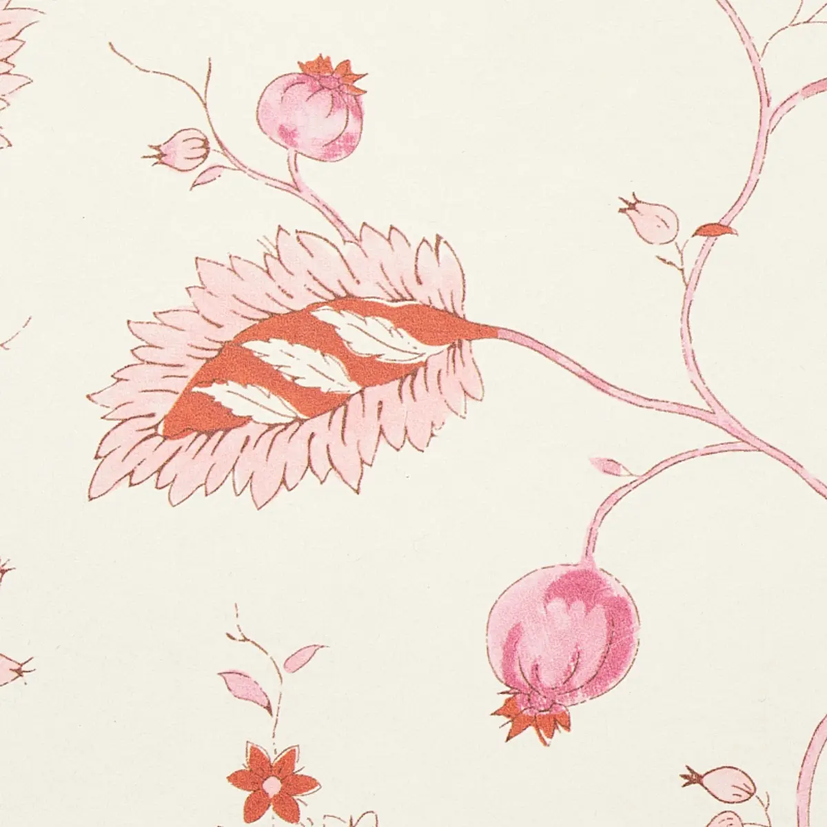 MARYAM VINE_ PINK & RED