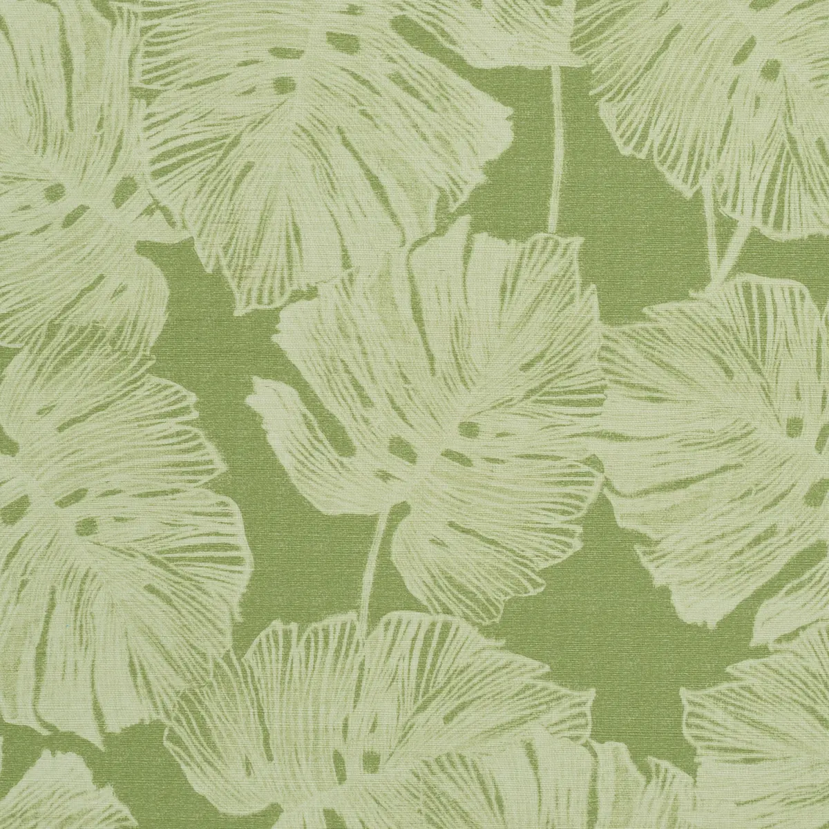 DEL COCO SISAL_ LEAF