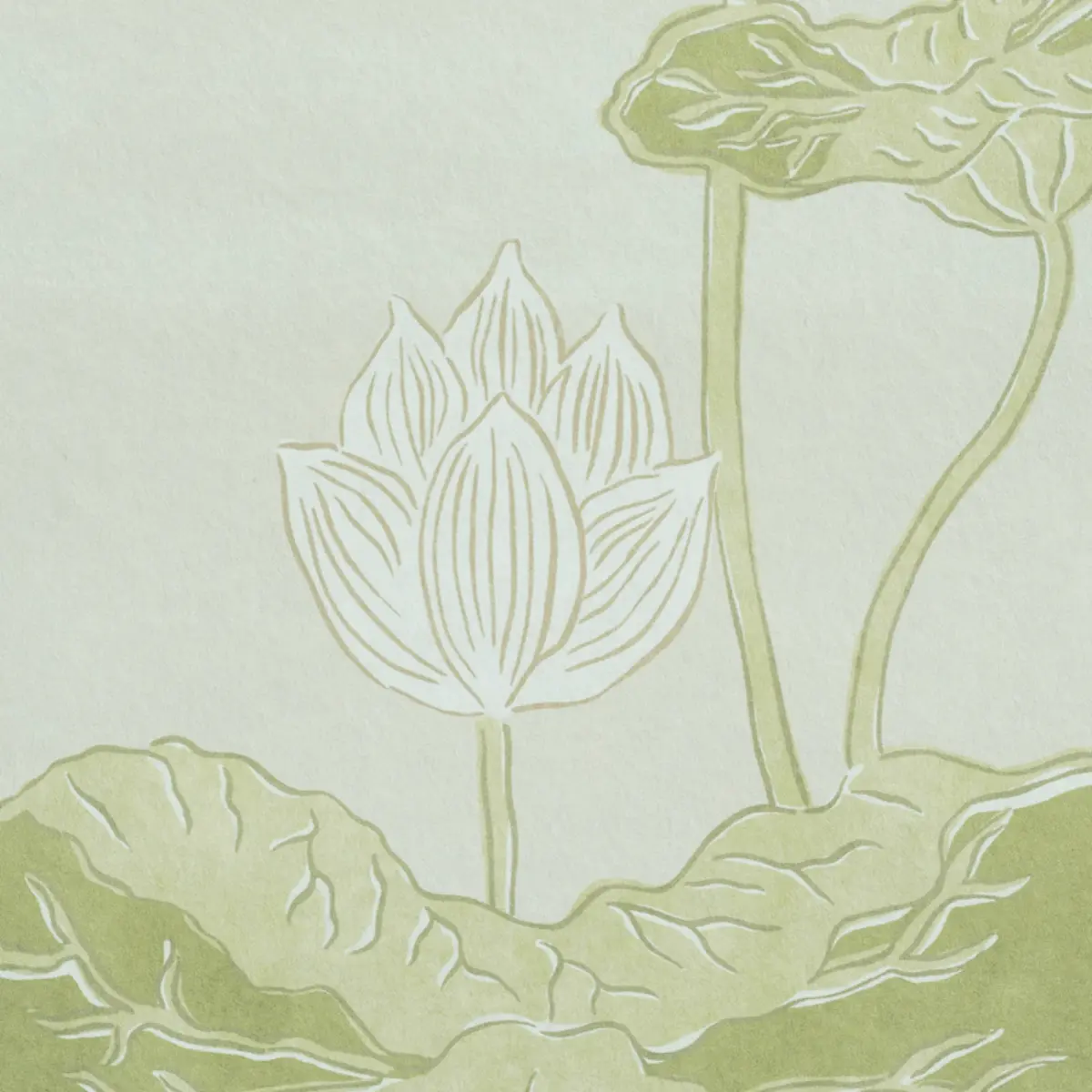 KIREINA LOTUS PANEL SET_ WHITE IVORY