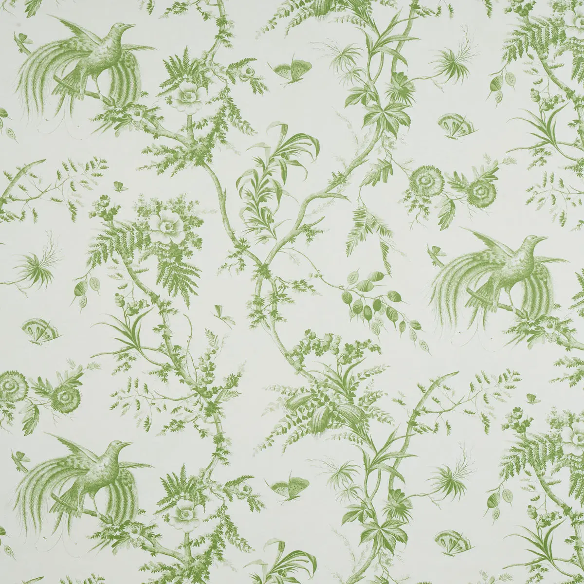 TOILE DE LA PRAIRIE_ GREEN