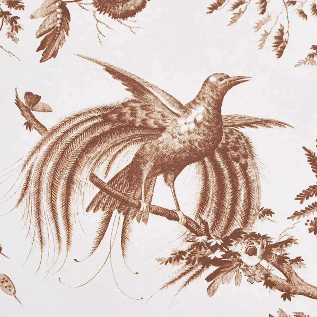 TOILE DE LA PRAIRIE_ BROWN