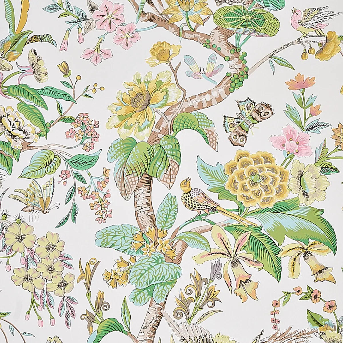 CRANLEY GARDEN_ PINK