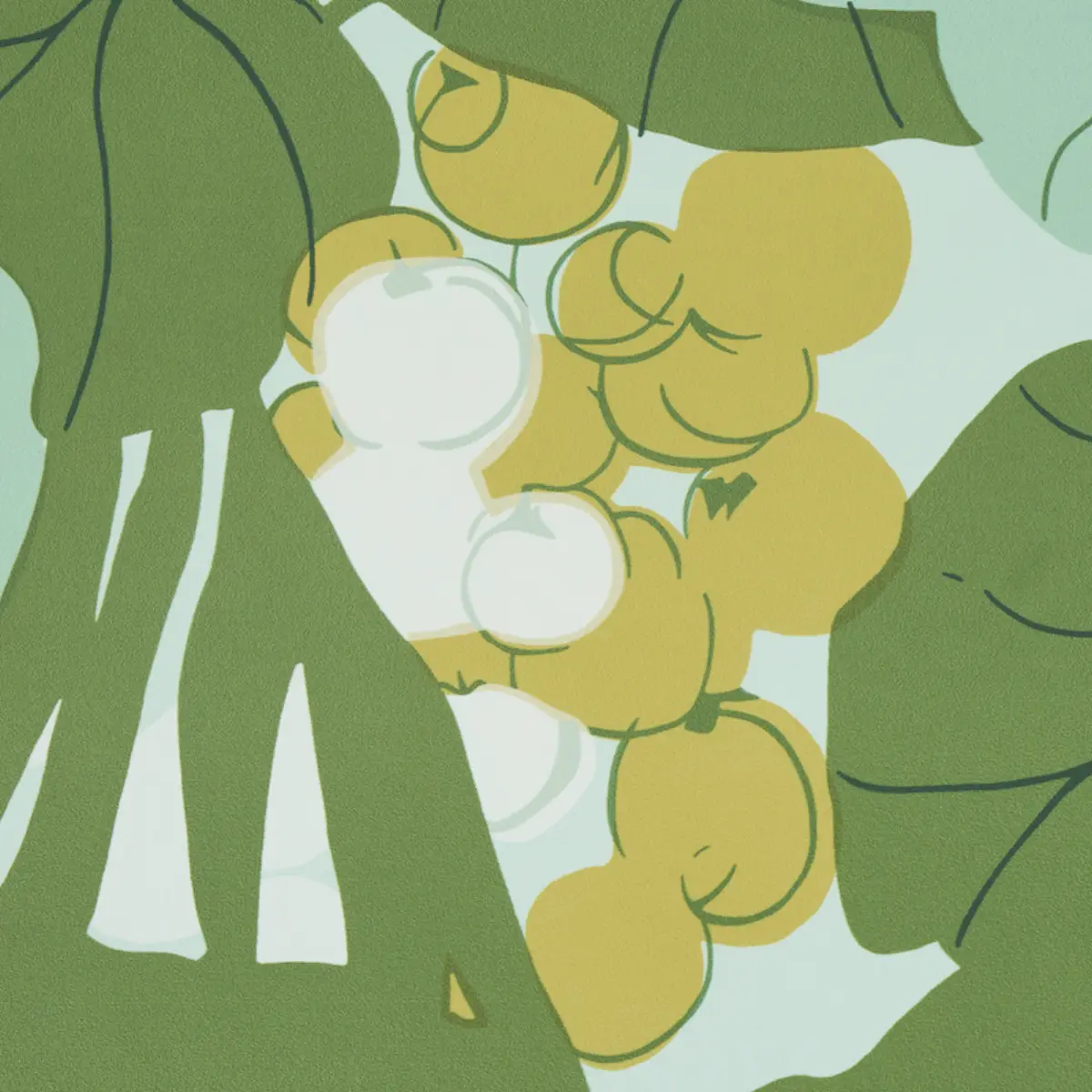 SEA GRAPES_ PALM